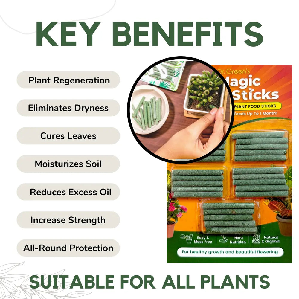 Dr.Green's - Magic Plant Sticks (Buy 1 Get 1 Free)