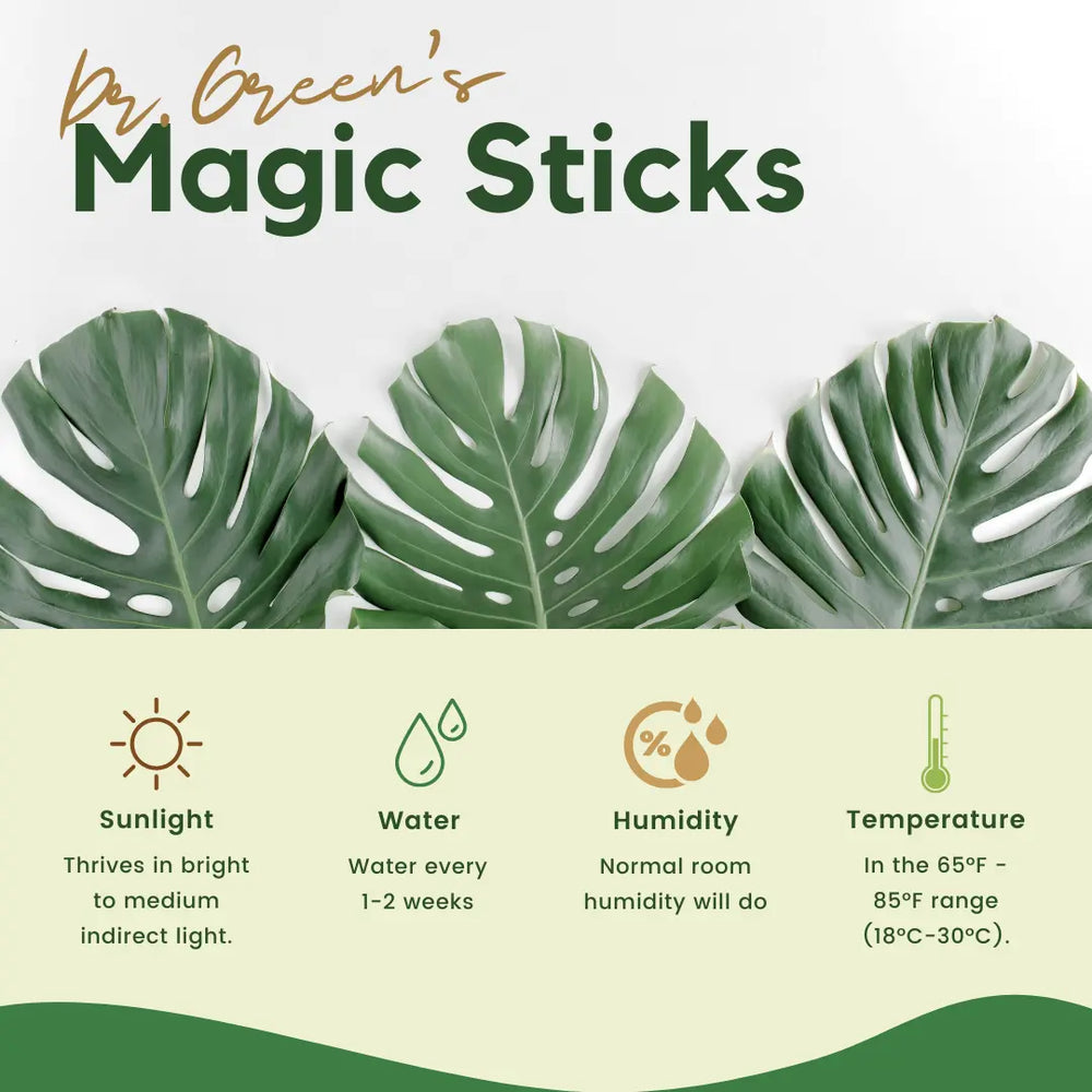 Dr.Green's - Magic Plant Sticks (Buy 1 Get 1 Free)