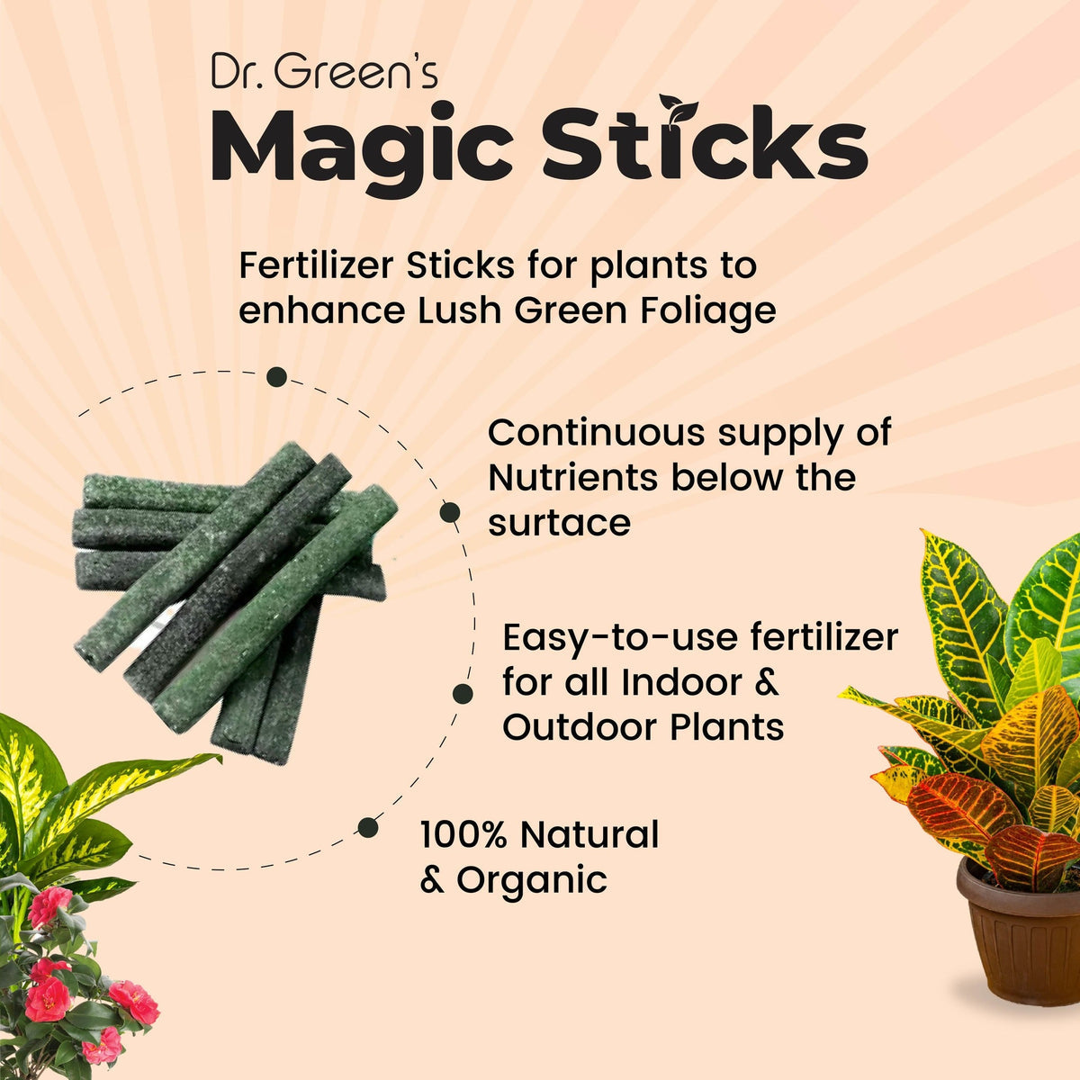 Dr.Green's - Magic Plant Sticks (Buy 1 Get 1 Free)