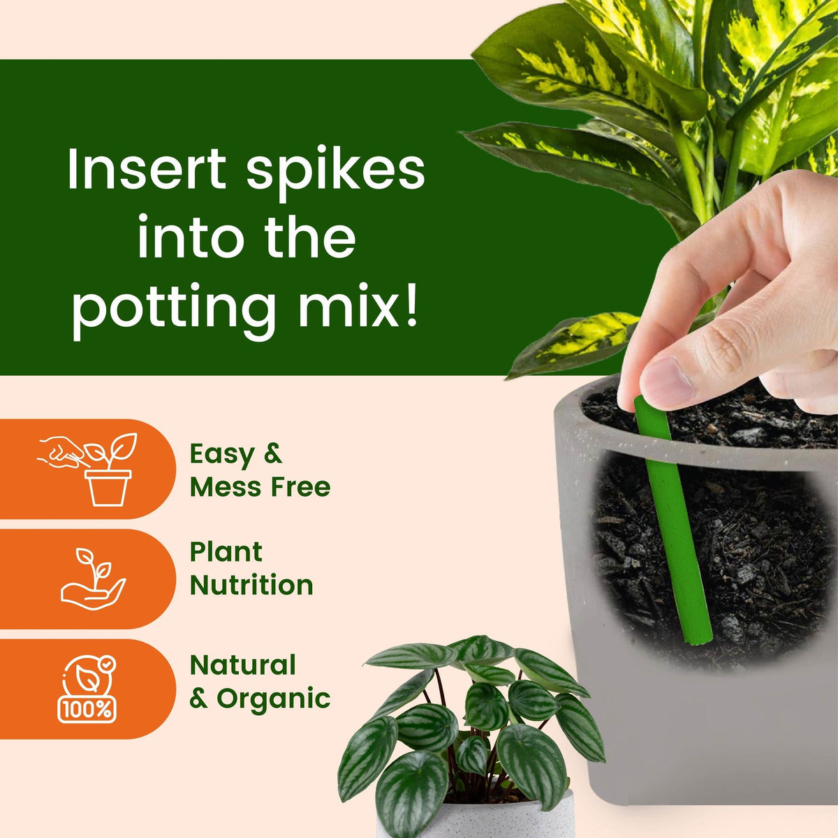 Dr.Green's - Magic Plant Sticks (Buy 1 Get 1 Free)